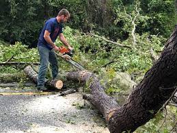 Best Aeration Services  in Los Osos, CA