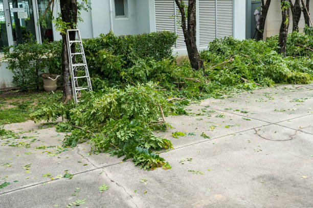 Best Lawn Watering Services  in Los Osos, CA