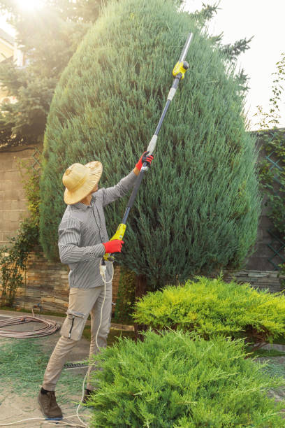 Best Utility Line Clearance  in Los Osos, CA
